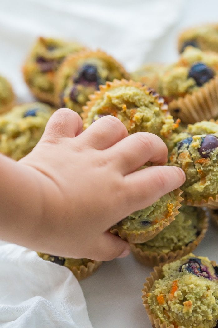 These gluten-free muffins for kids (with blueberries and avocado) are the perfect back-to-school muffins! Gluten and grain free, made with cultured dairy, and with low sugar, they're great to serve to a class, too. These gluten-free muffins for kids are packed with fruits and veggies, including carrots, avocado, and blueberries! I think your family will love these gluten-free muffins for kids just as much as mine does.