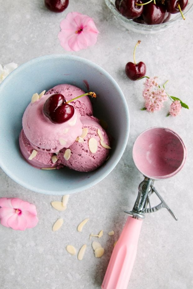 Paleo ice cream recipes roundup