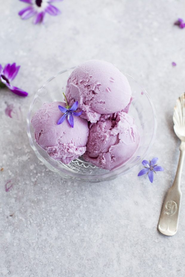 Paleo ice cream recipes roundup