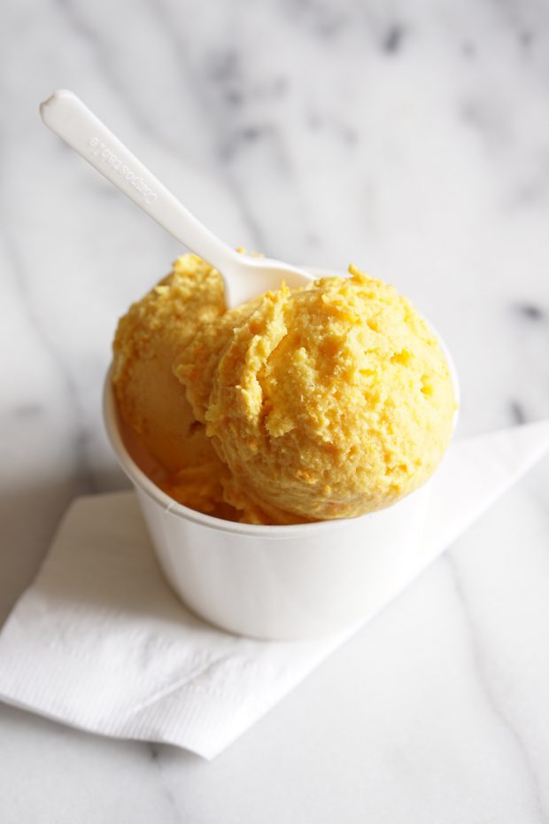 Paleo ice cream recipes roundup