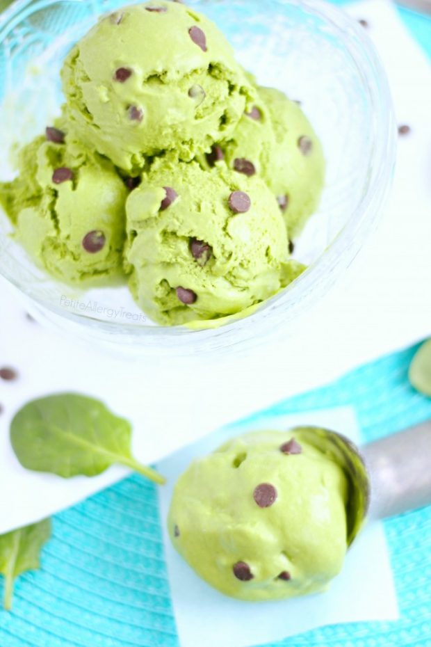 Paleo ice cream recipes roundup