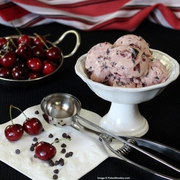 Paleo ice cream recipes roundup