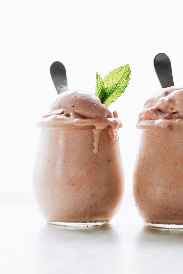 Paleo ice cream recipes roundup