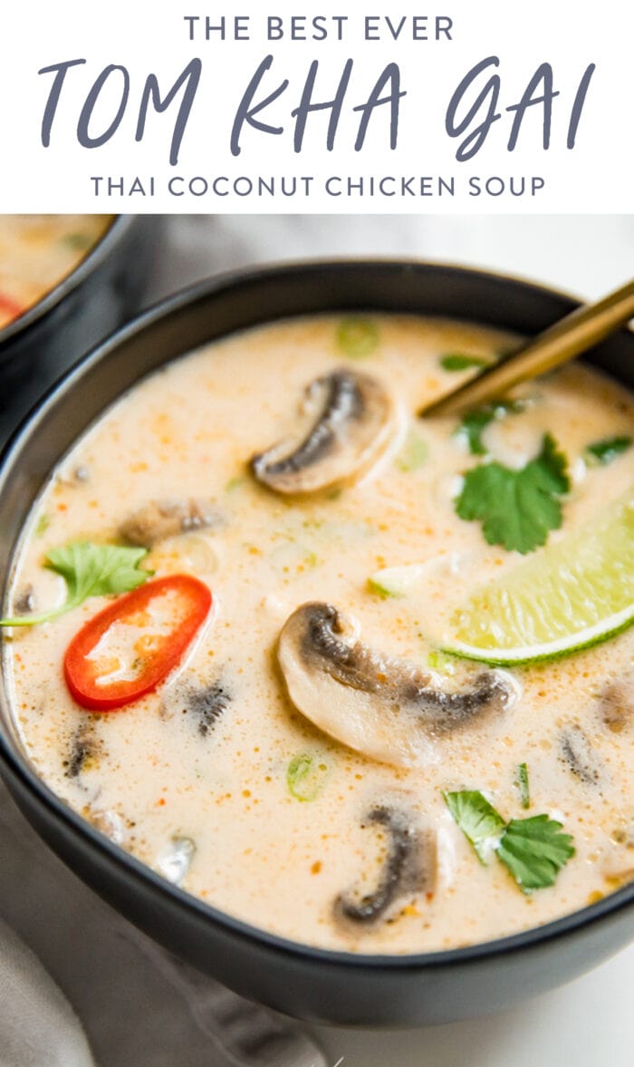 Pin graphic for tom kha soup