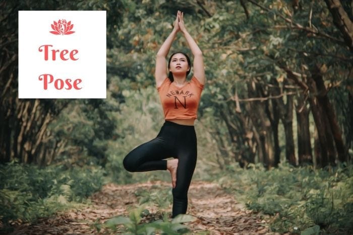 an Asian young woman in the tree pose on a foliage-covered walkway in the woods