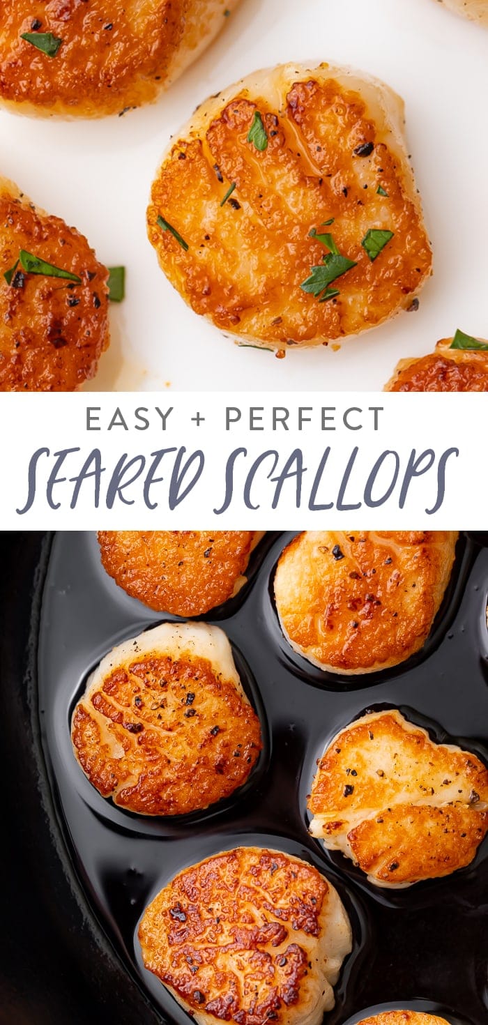 Easy Seared Scallops Pinterest graphic