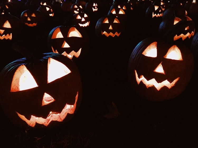 Lit up jack-o-lanterns in the night for a safe Halloween