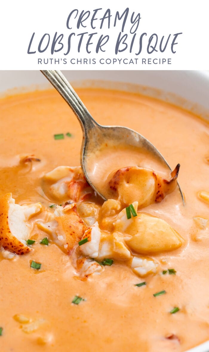 Pinterest graphic for lobster bisque