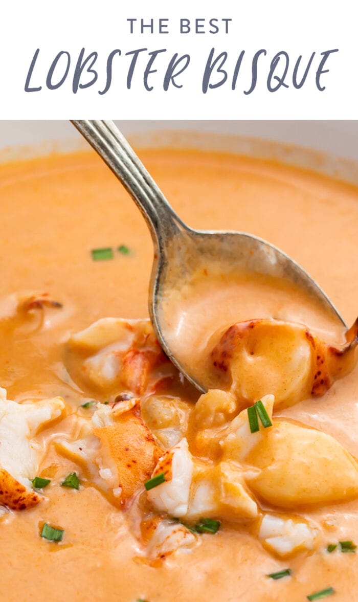 Pinterest graphic for lobster bisque