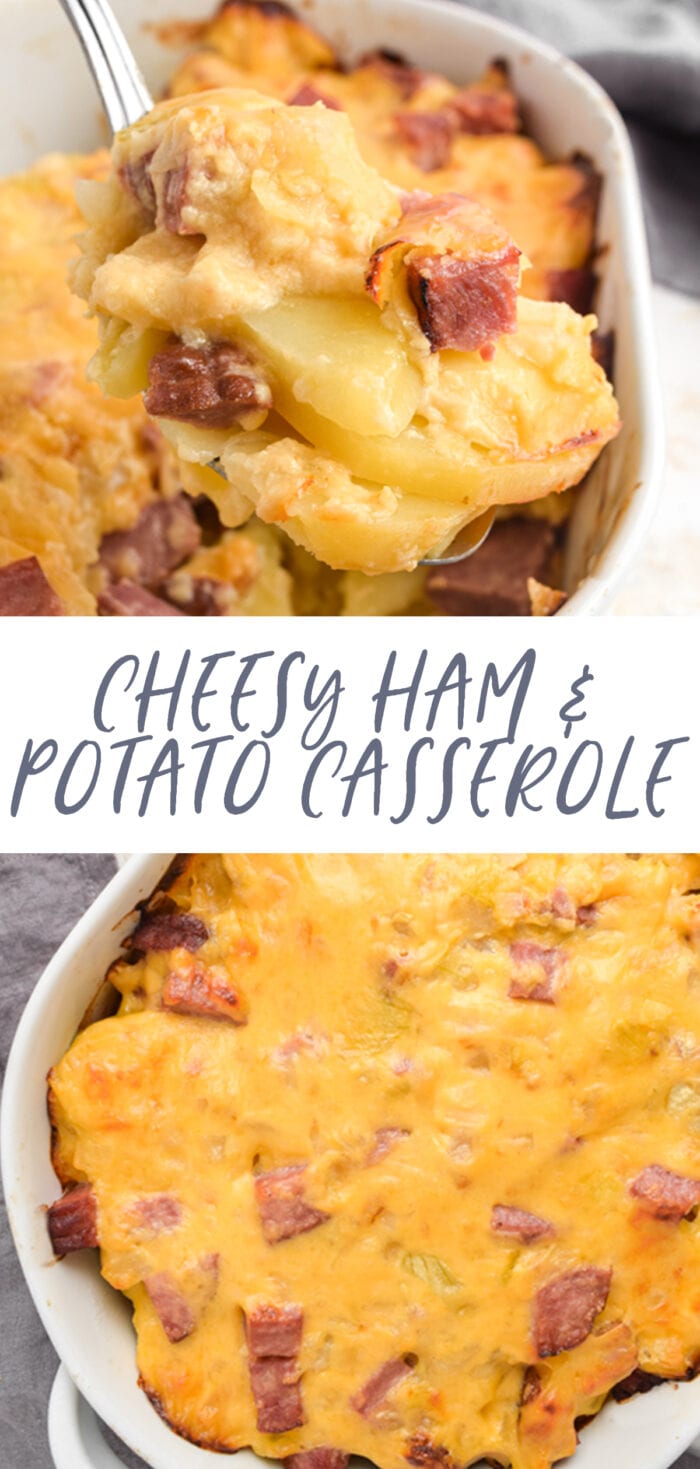 Pinterest graphic for cheesy ham and potato casserole