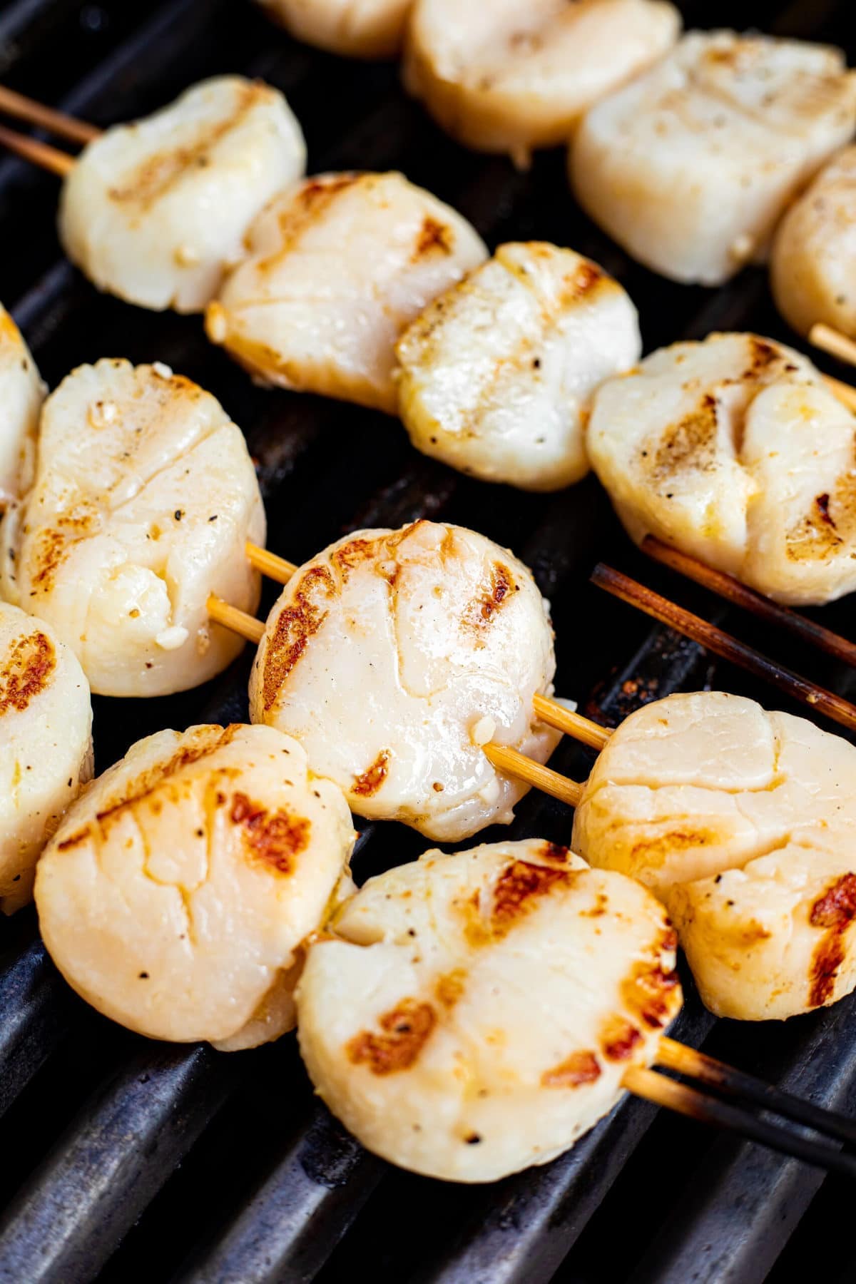 Close-up image of skewered scallops cooking on the grill.