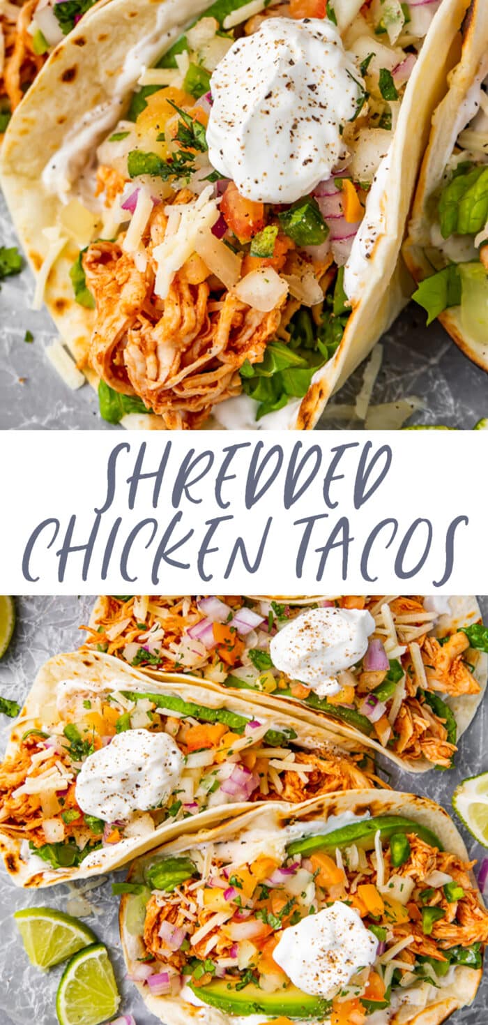 Pin graphic for shredded chicken tacos