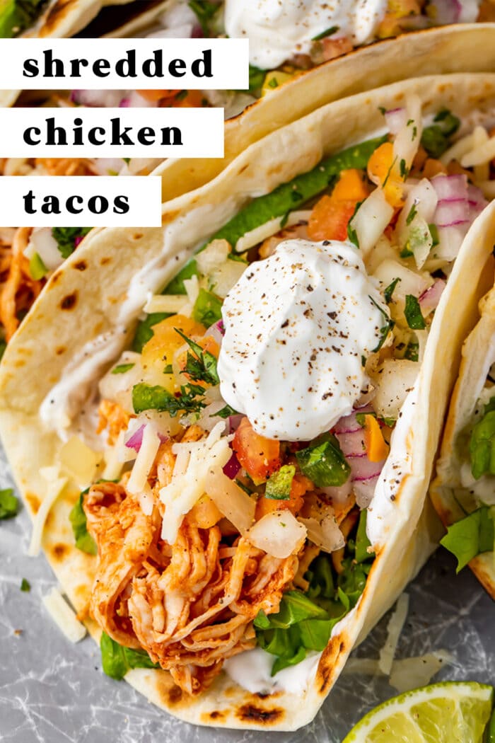 Pin graphic for shredded chicken tacos