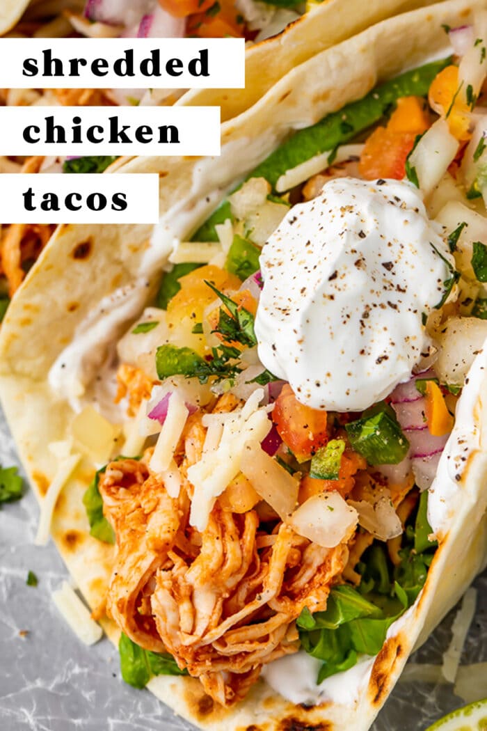 Pin graphic for shredded chicken tacos