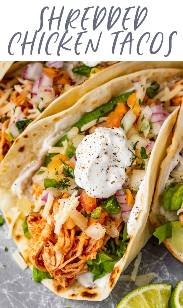 Pin graphic for shredded chicken tacos