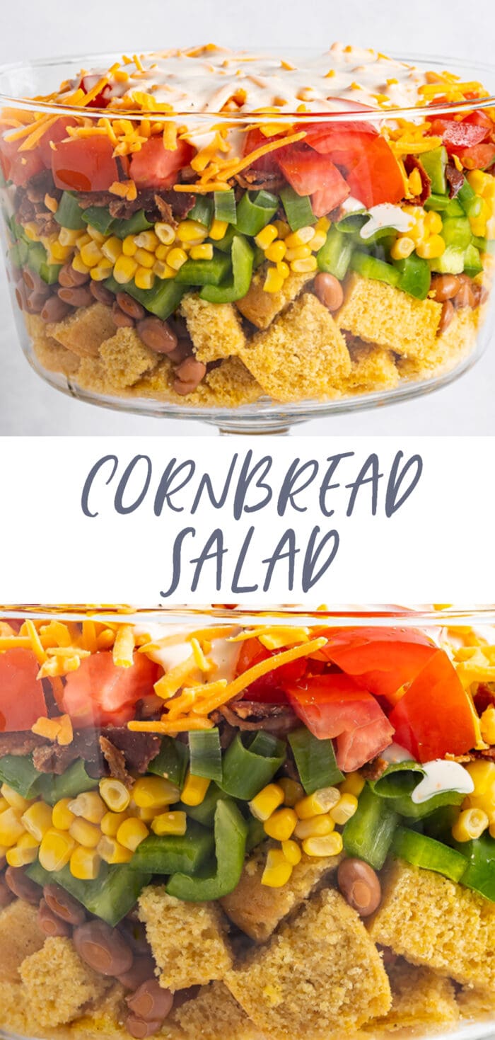 Pin graphic for cornbread salad