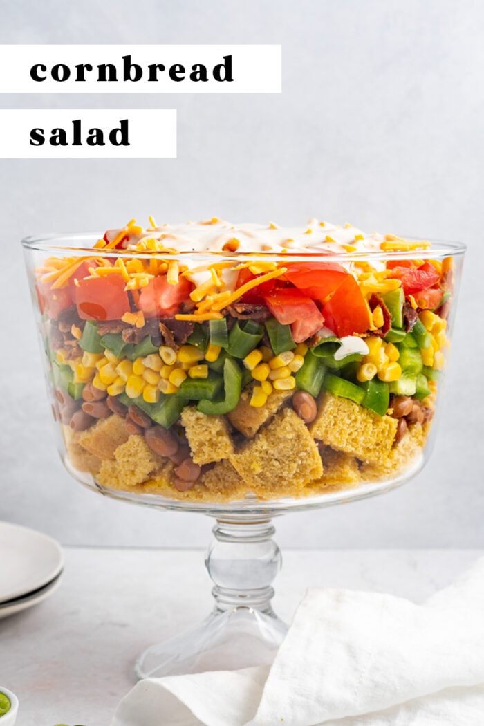 Pin graphic for cornbread salad