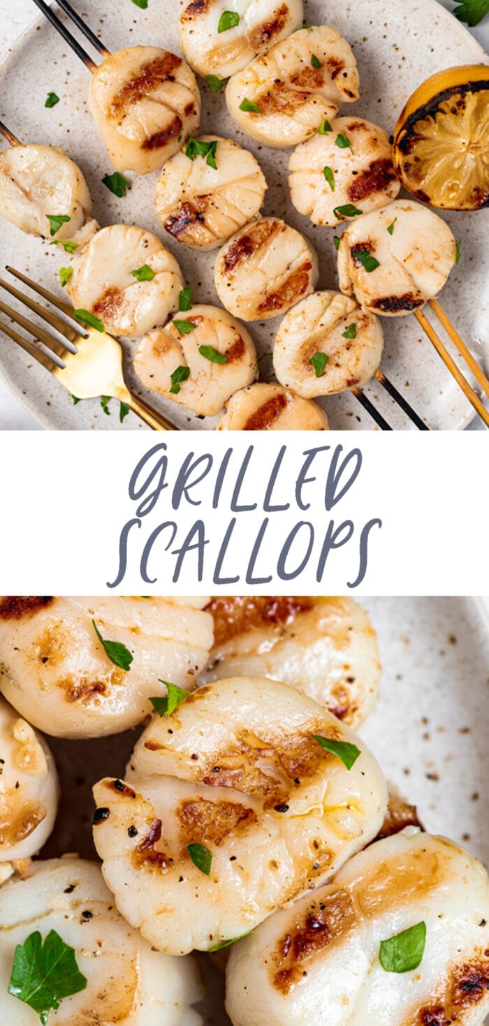 Pin graphic for grilled scallops