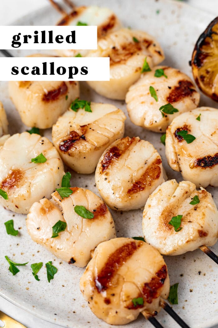 Pin graphic for grilled scallops