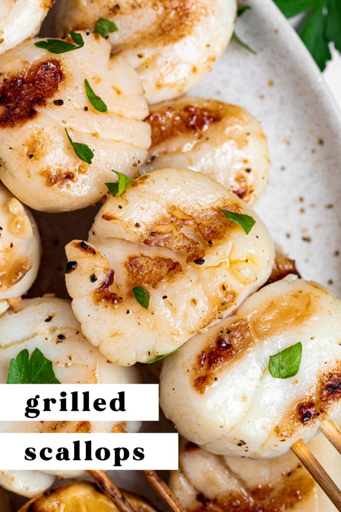 Pin graphic for grilled scallops