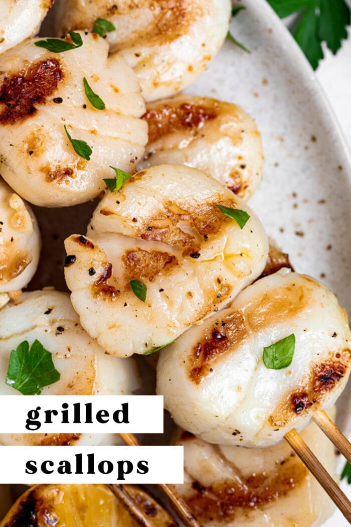 Pin graphic for grilled scallops