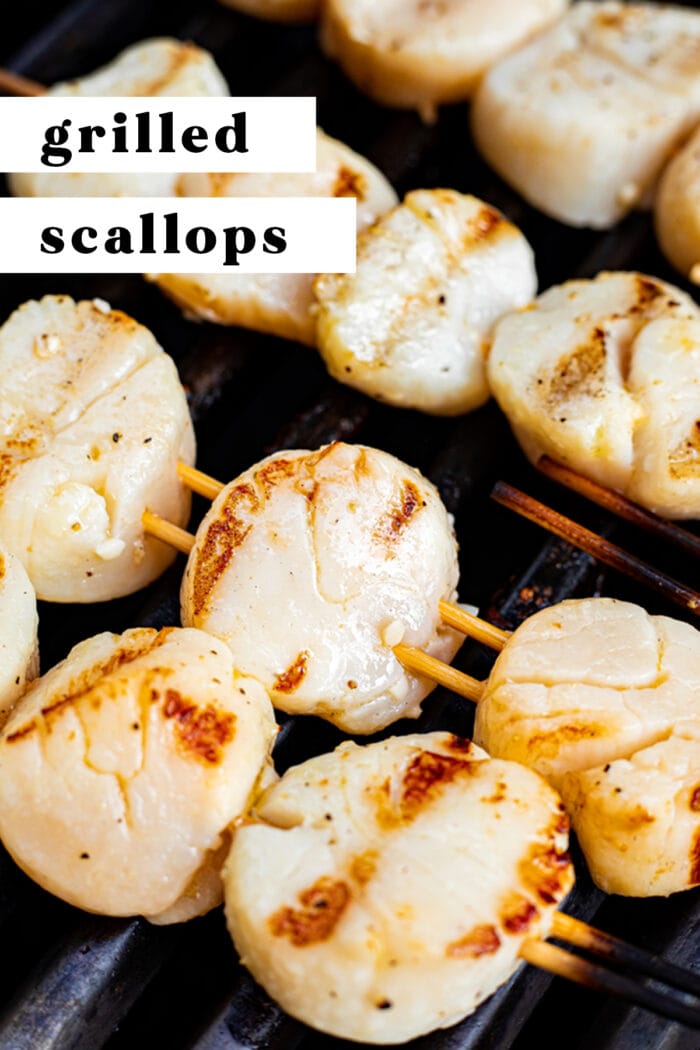 Pin graphic for grilled scallops