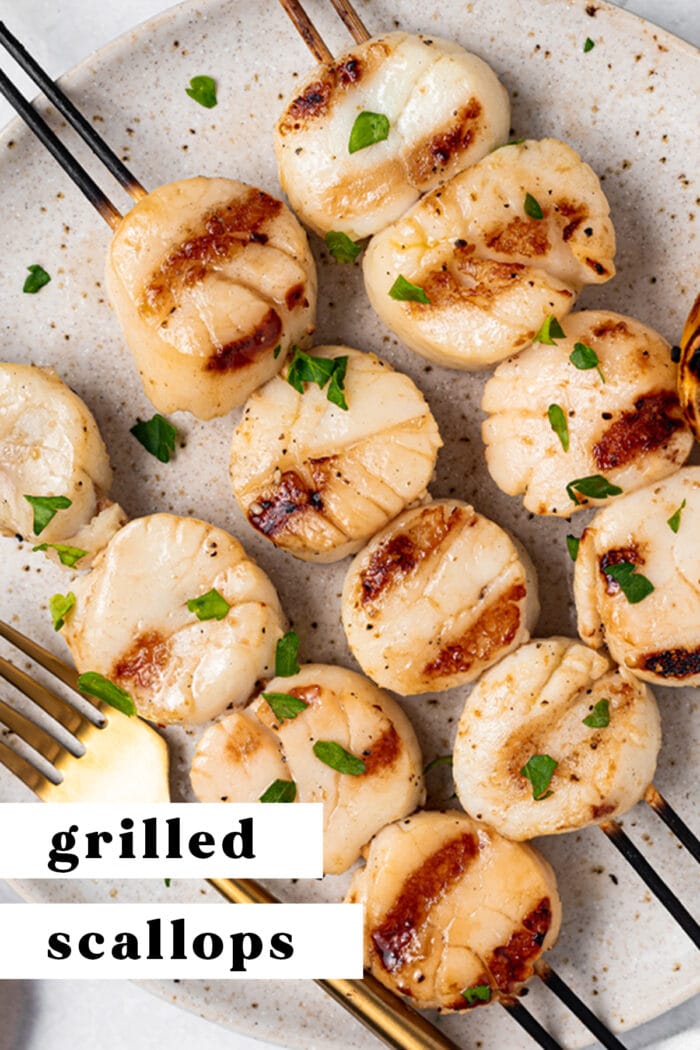 Pin graphic for grilled scallops