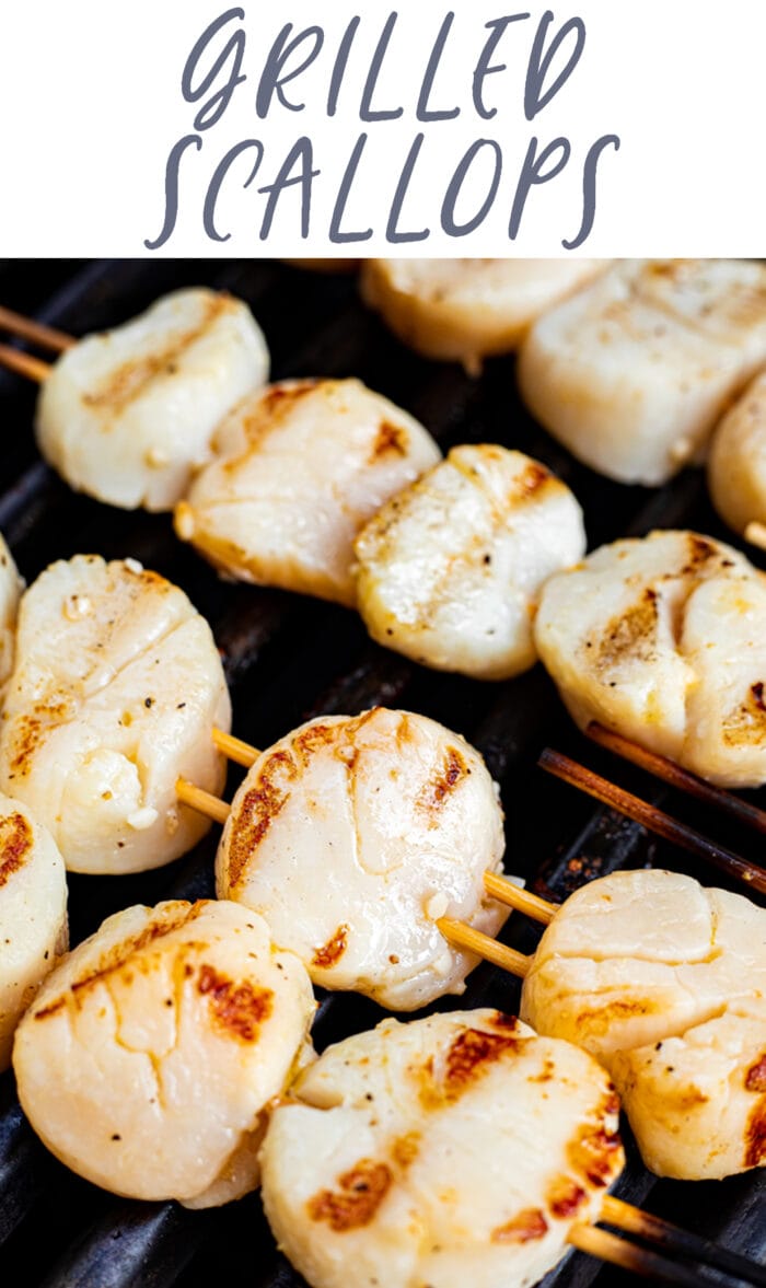 Pin graphic for grilled scallops