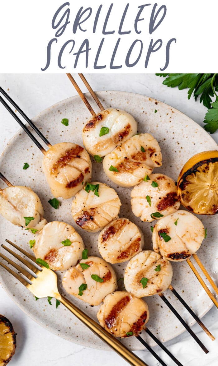 Pin graphic for grilled scallops