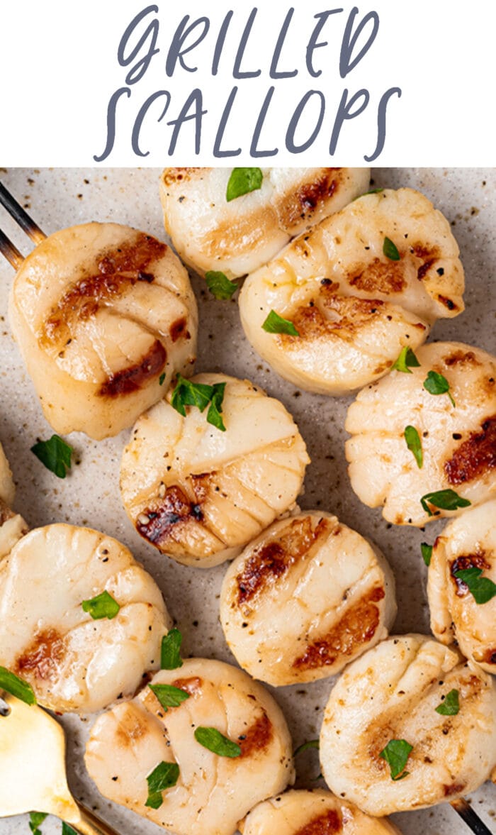 Pin graphic for grilled scallops