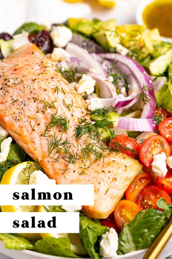 Pin graphic for salmon salad