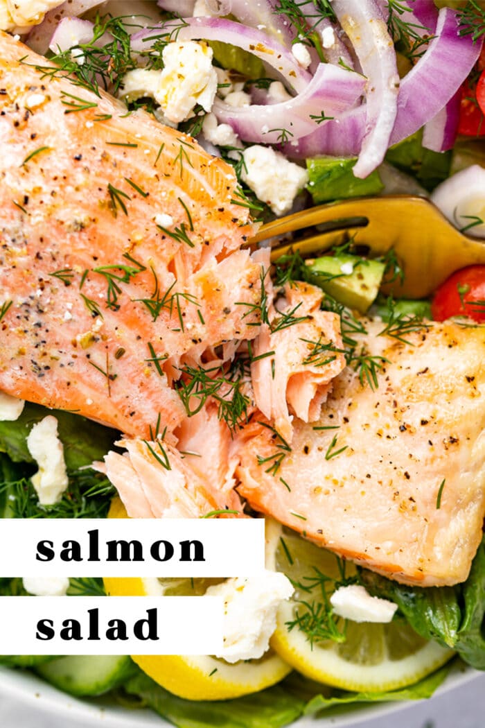 Pin graphic for salmon salad