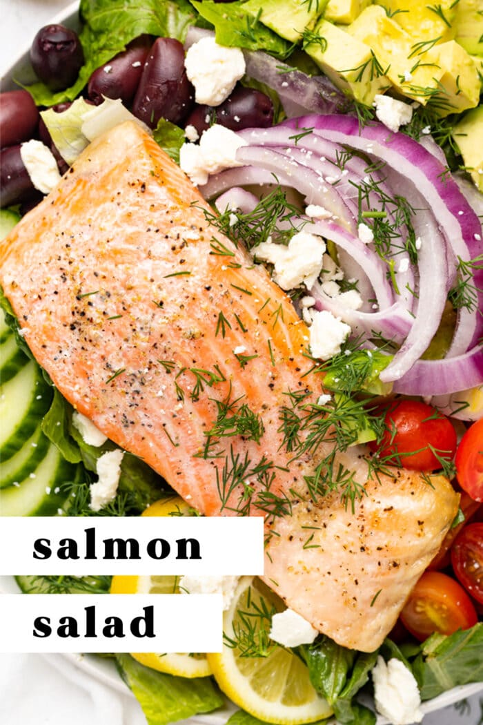 Pin graphic for salmon salad