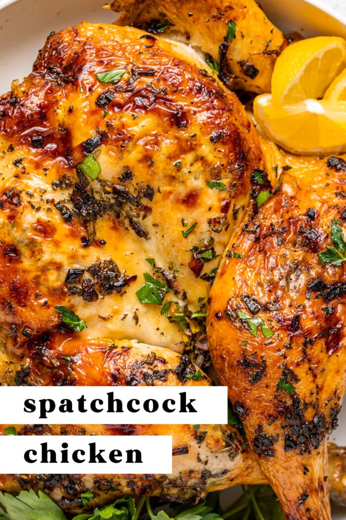 Pin graphic for spatchcock chicken