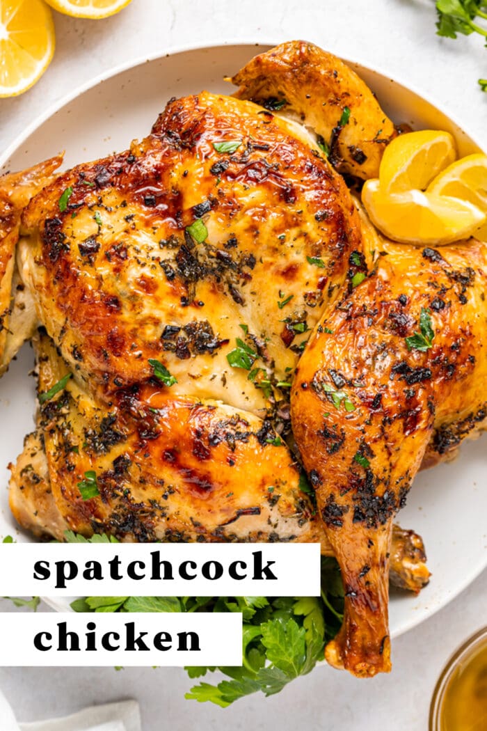 Pin graphic for spatchcock chicken