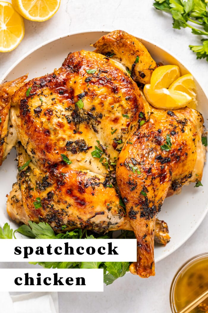 Pin graphic for spatchcock chicken