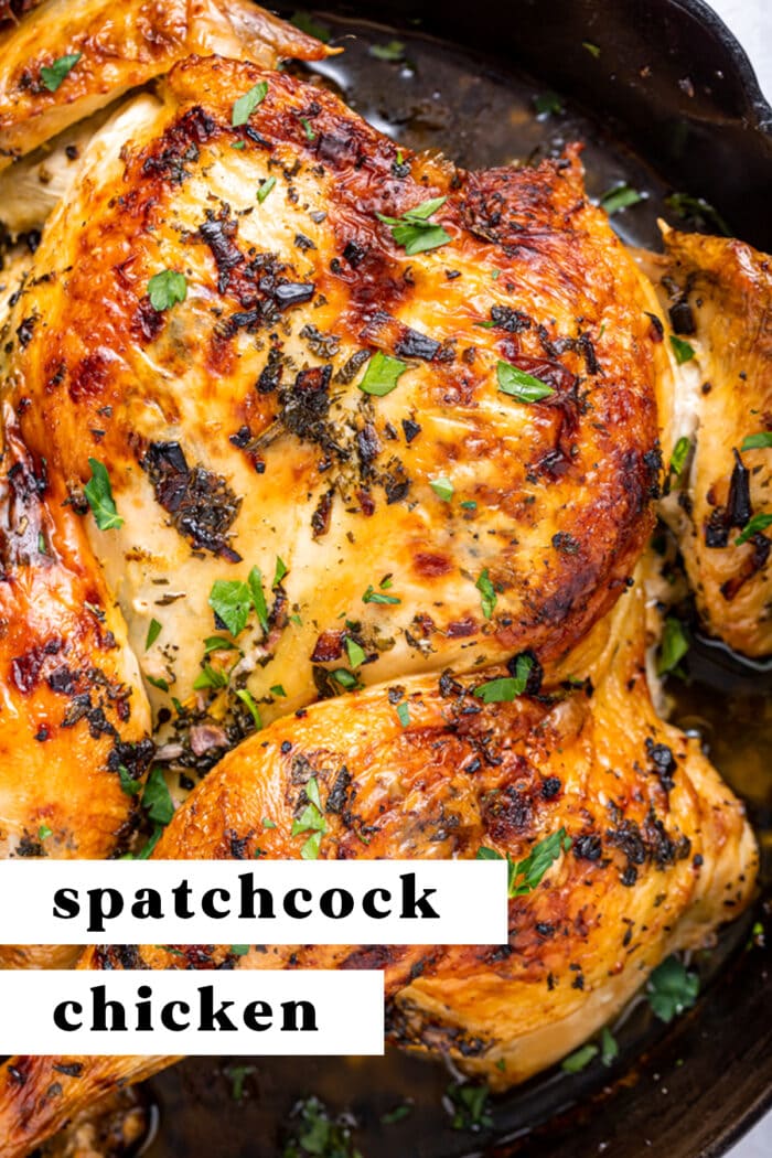 Pin graphic for spatchcock chicken