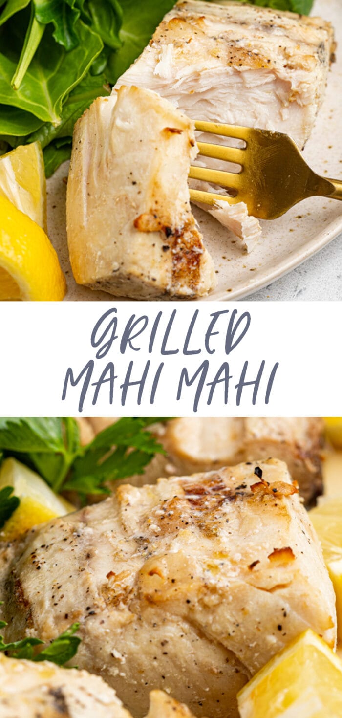 Pin graphic for grilled mahi mahi