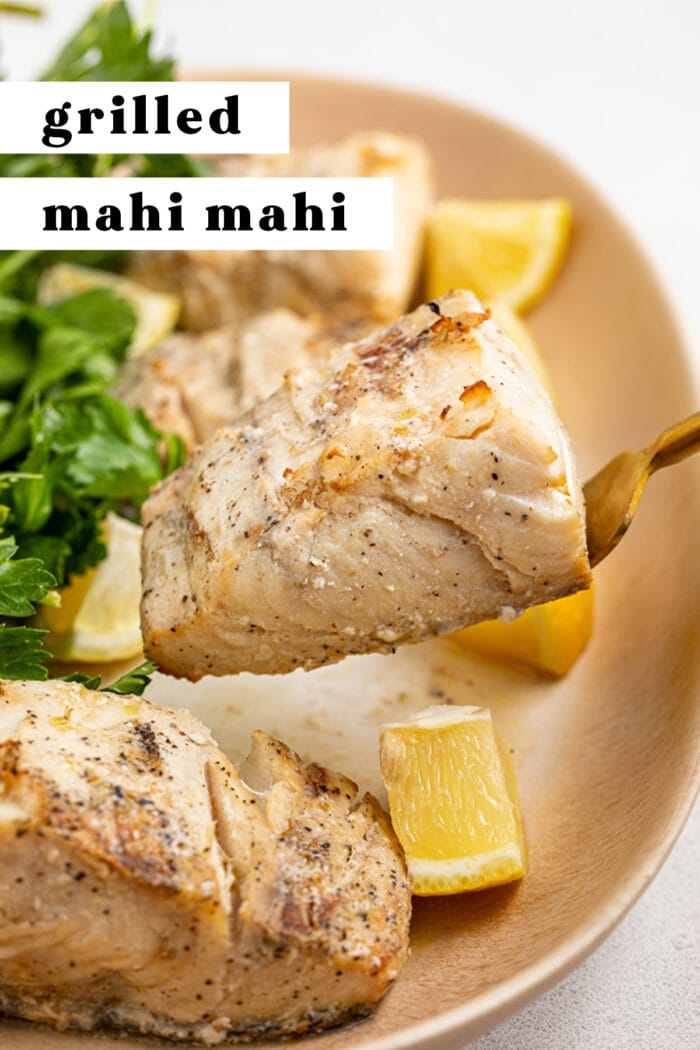 Pin graphic for grilled mahi mahi