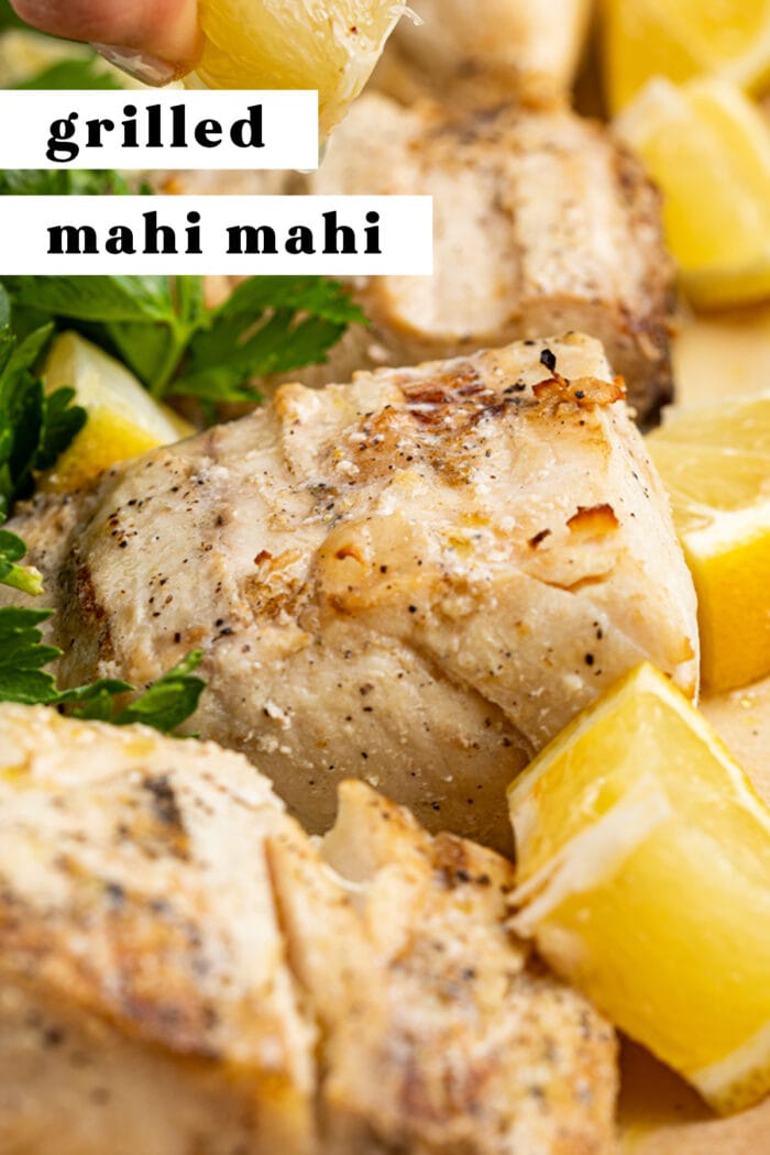 Pin graphic for grilled mahi mahi