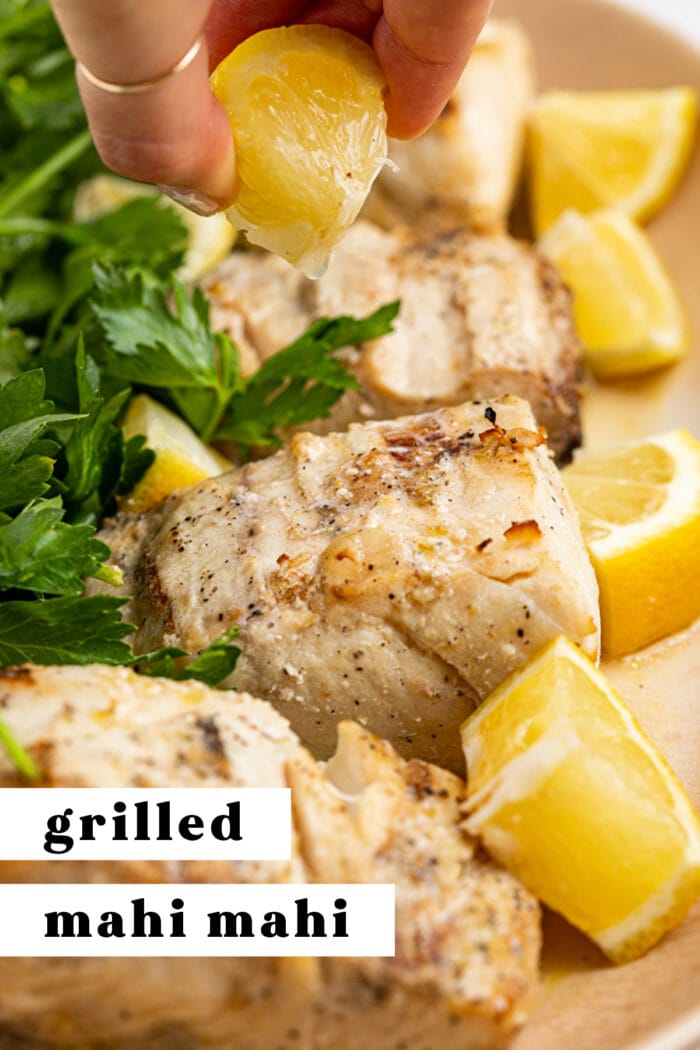 Pin graphic for grilled mahi mahi