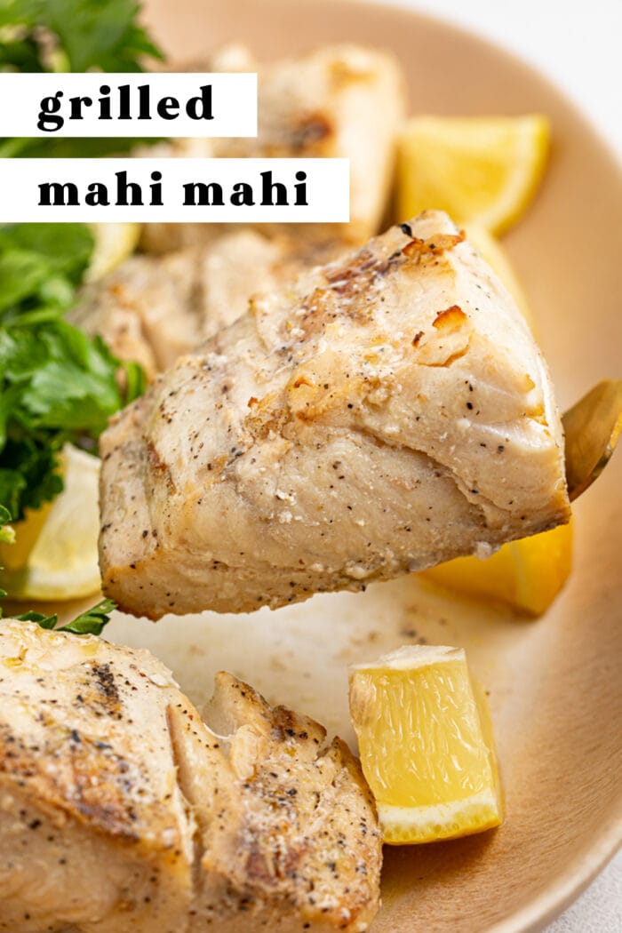 Pin graphic for grilled mahi mahi