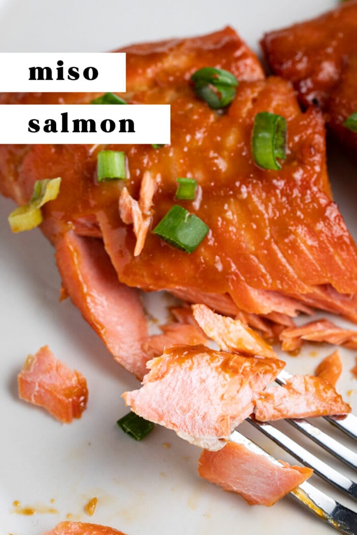 Pin graphic for miso salmon