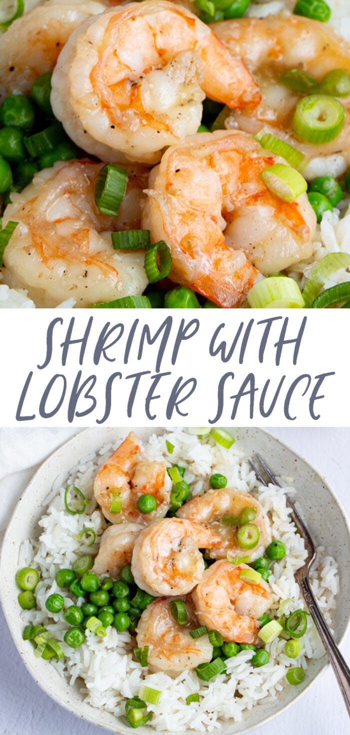 Pin graphic for shrimp with lobster sauce