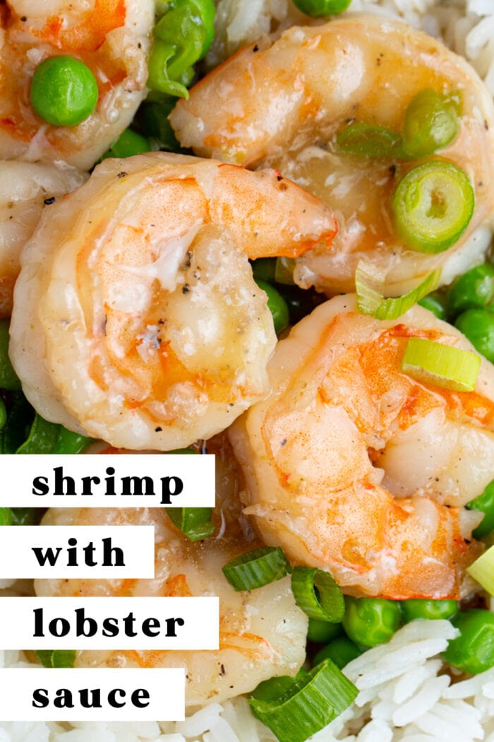 Pin graphic for shrimp with lobster sauce