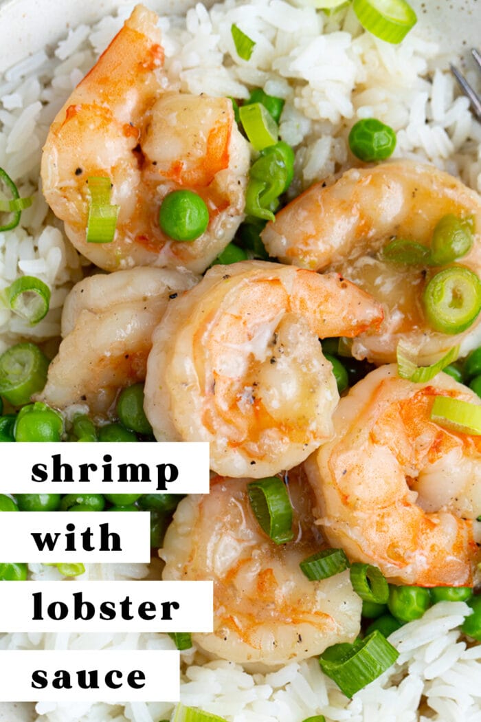 Pin graphic for shrimp with lobster sauce