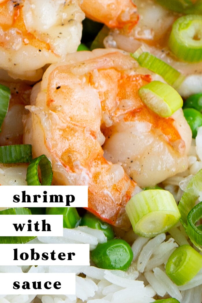 Pin graphic for shrimp with lobster sauce