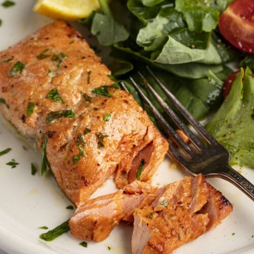 Broiled salmon on a plate next to a small salad