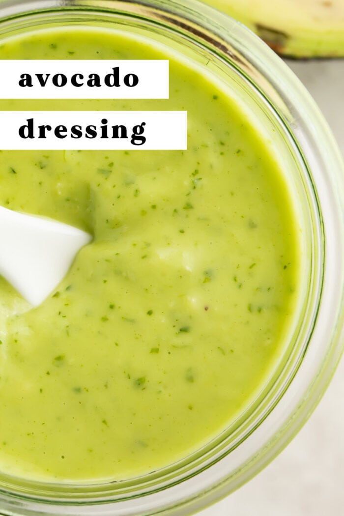 Pin graphic for avocado dressing