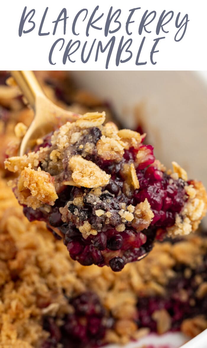 Pin graphic for blackberry crumble